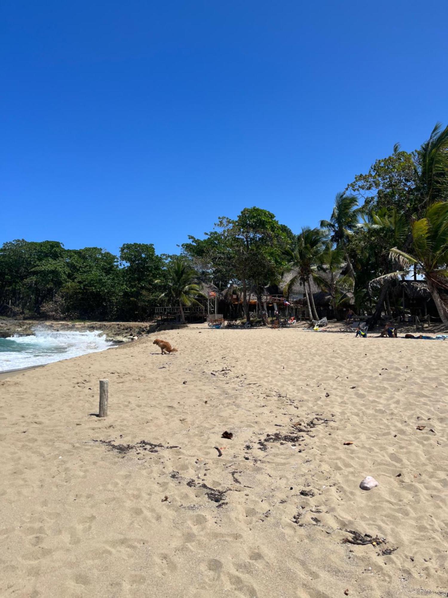 Cabarete Maravilla Eco Lodge Boutique Beach Surf Encuentro, Kite, By Aa Crypto Group Exterior foto